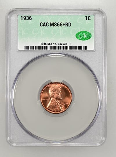 CAC Grading Coin Obverse