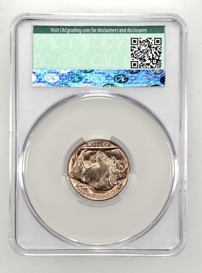 CAC Grading Coin Reverse