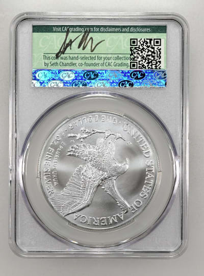 CAC Grading Coin Reverse