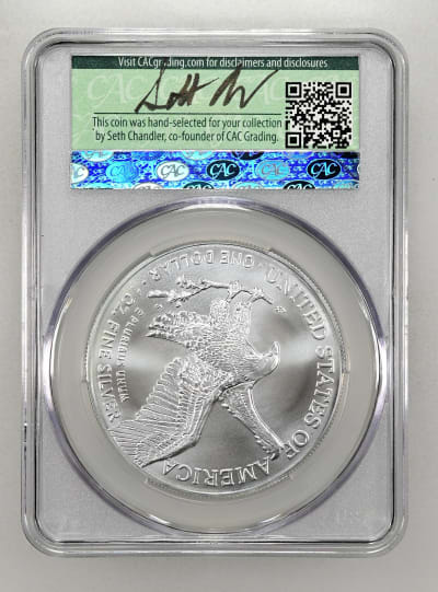 CAC Grading Coin Reverse