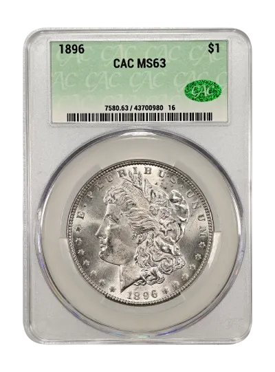 CAC Grading Coin Obverse