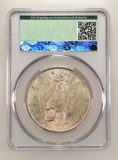 CAC Grading Coin Reverse