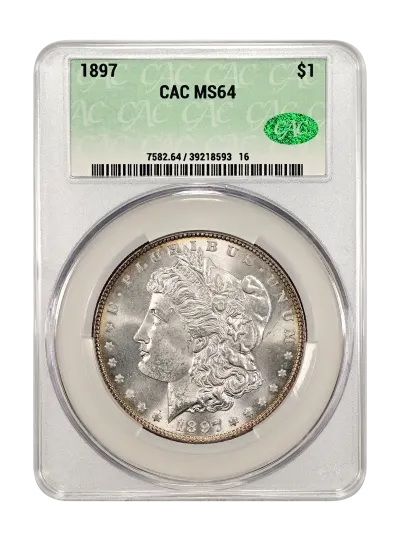 CAC Grading Coin Obverse