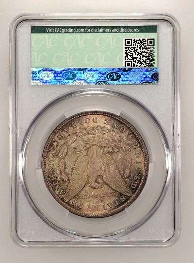 CAC Grading Coin Reverse
