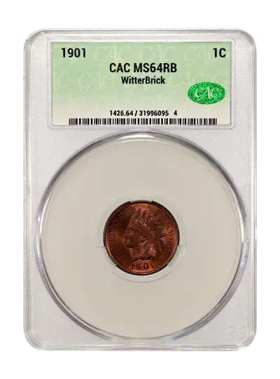 CAC Grading Coin Obverse