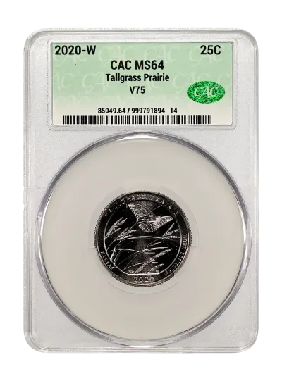 CAC Grading Coin Obverse