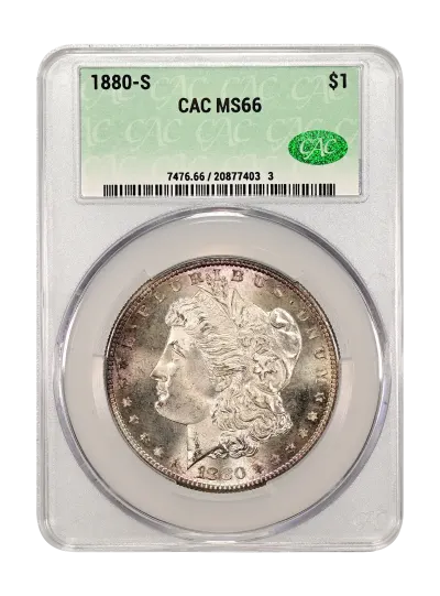 CAC Grading Coin Obverse