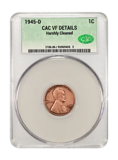 CAC Grading Coin Obverse