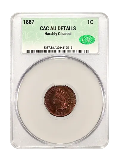 CAC Grading Coin Obverse