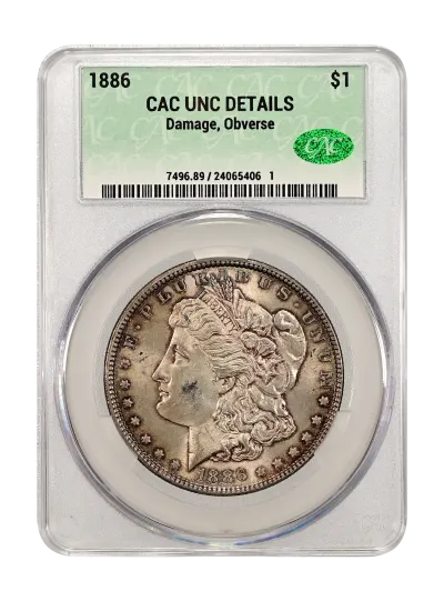 CAC Grading Coin Obverse