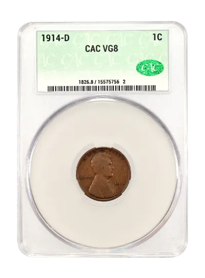 CAC Grading Coin Obverse
