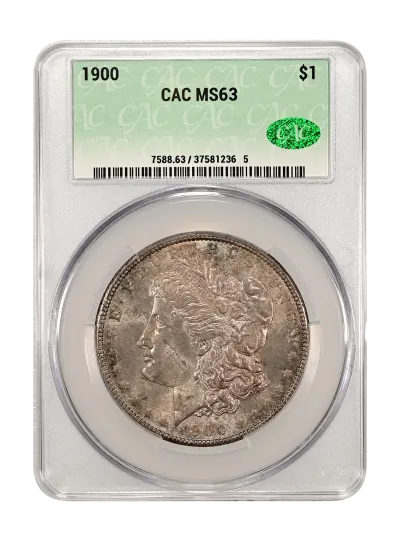 CAC Grading Coin Obverse