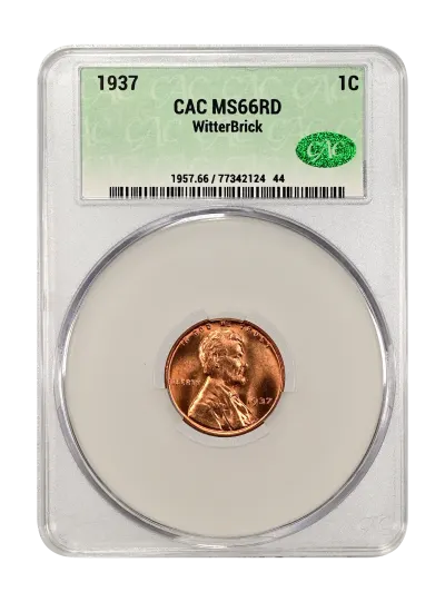 CAC Grading Coin Obverse