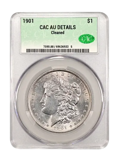 CAC Grading Coin Obverse
