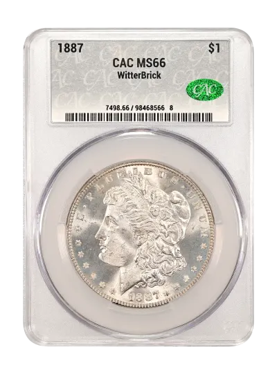 CAC Grading Coin Obverse