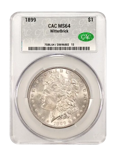 CAC Grading Coin Obverse