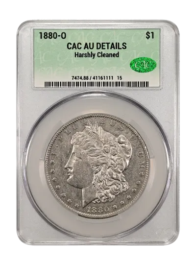 CAC Grading Coin Obverse