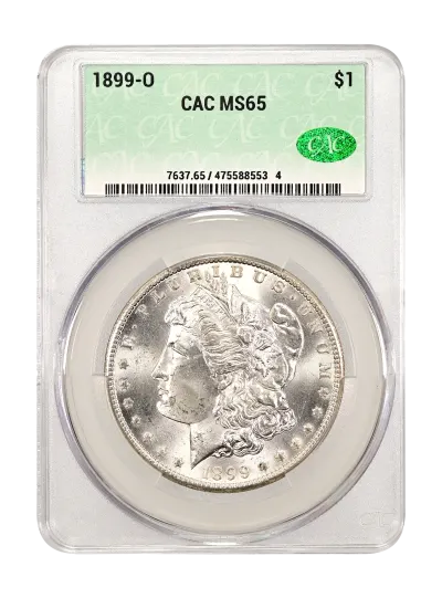 CAC Grading Coin Obverse