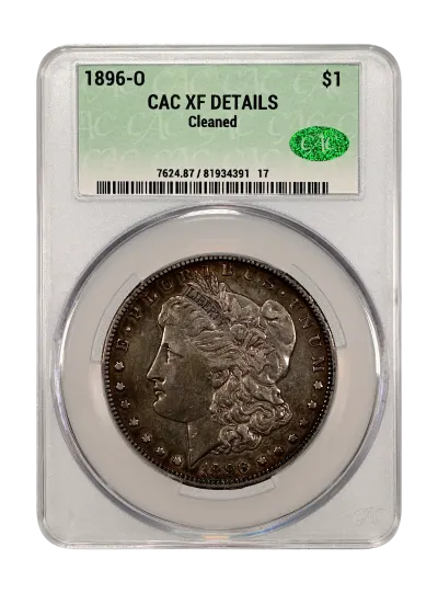 CAC Grading Coin Obverse