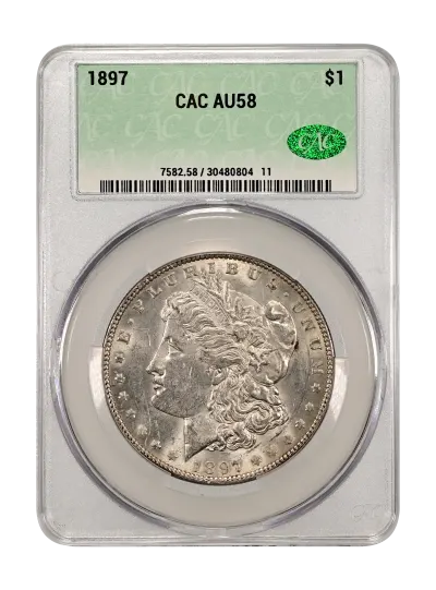 CAC Grading Coin Obverse