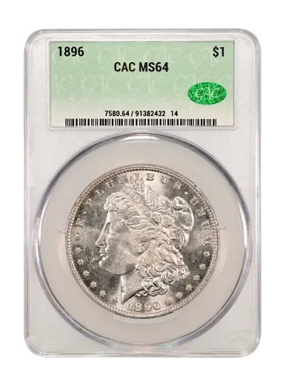 CAC Grading Coin Obverse