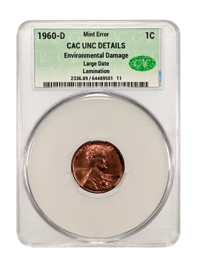 CAC Grading Coin Obverse