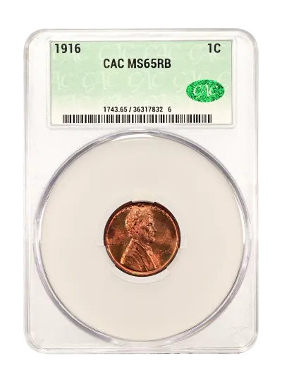 CAC Grading Coin Obverse