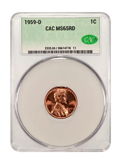 CAC Grading Coin Obverse