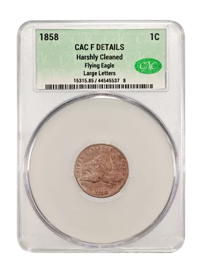 CAC Grading Coin Obverse