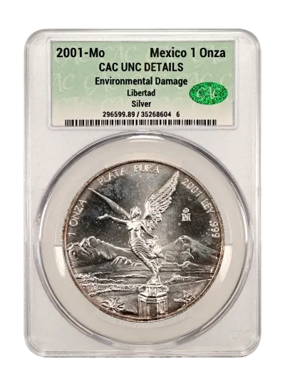 CAC Grading Coin Obverse