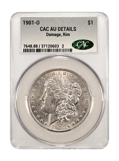 CAC Grading Coin Obverse