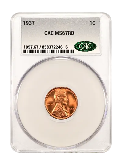 CAC Grading Coin Obverse