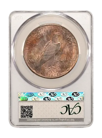 CAC Grading Coin Reverse