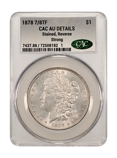CAC Grading Coin Obverse