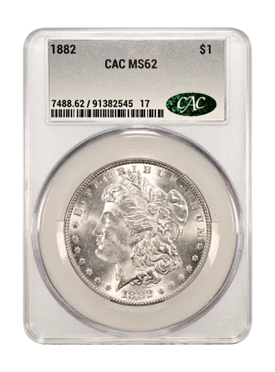 CAC Grading Coin Obverse