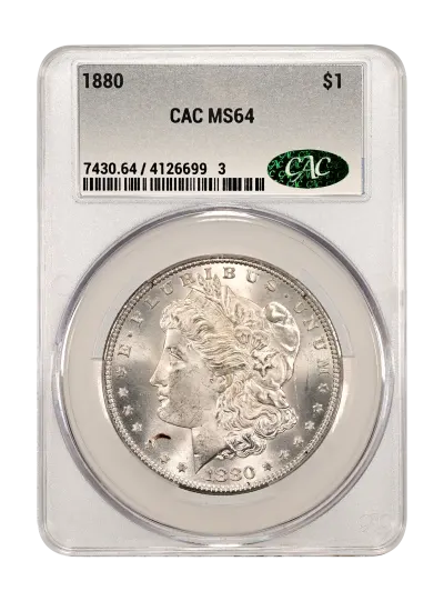 CAC Grading Coin Obverse