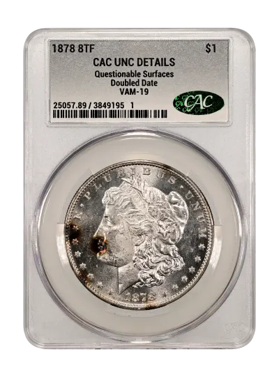 CAC Grading Coin Obverse