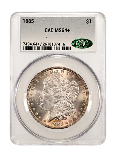 CAC Grading Coin Obverse