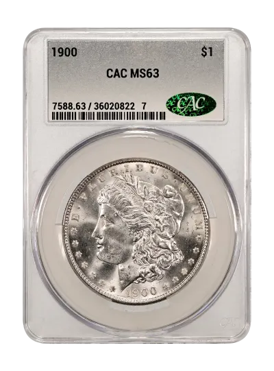 CAC Grading Coin Obverse