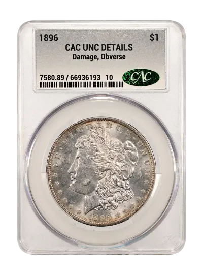 CAC Grading Coin Obverse