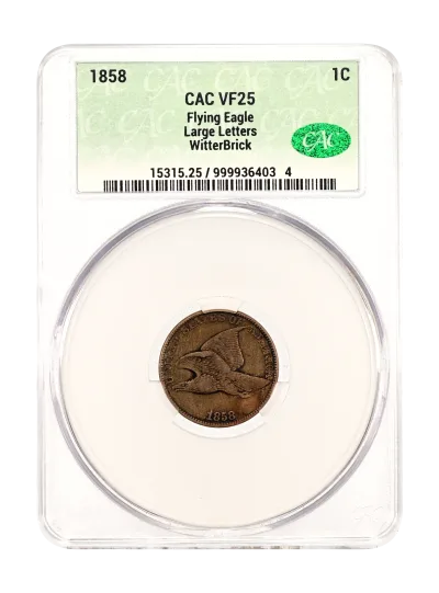 CAC Grading Coin Obverse