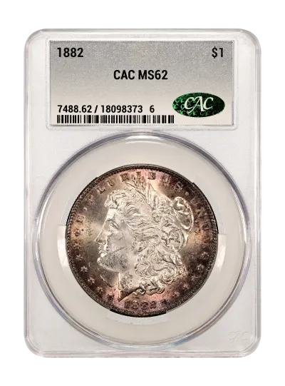 CAC Grading Coin Obverse