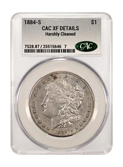 CAC Grading Coin Obverse