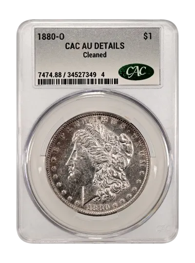 CAC Grading Coin Obverse