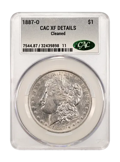 CAC Grading Coin Obverse