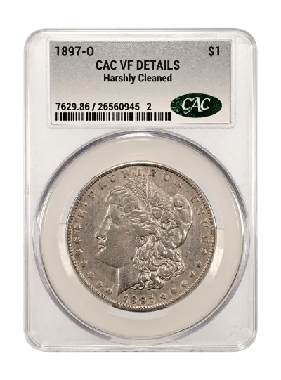 CAC Grading Coin Obverse