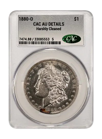 CAC Grading Coin Obverse