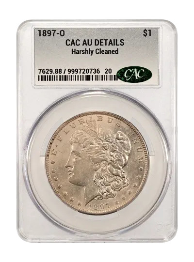 CAC Grading Coin Obverse