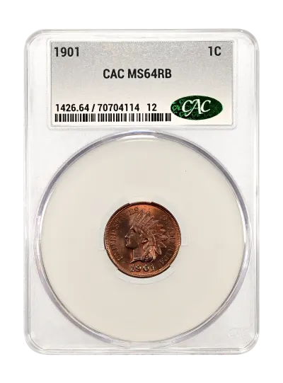 CAC Grading Coin Obverse