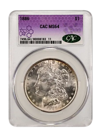 CAC Grading Coin Obverse